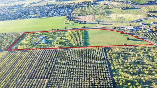 $1,149,000 | 25752 State Highway, Esparto, CA 95627