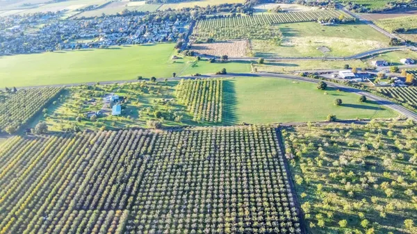 $1,149,000 | 25752 State Highway, Esparto, CA 95627