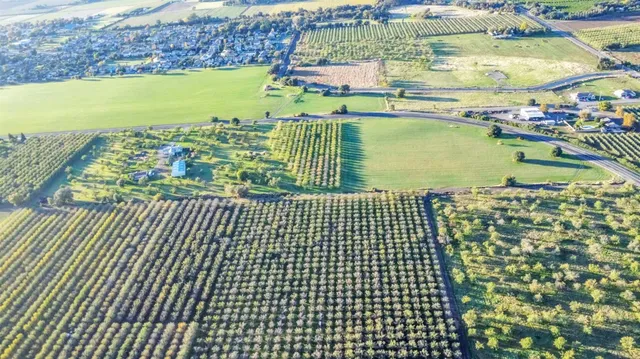 $1,200,000 | 25752 State Highway, Esparto, CA 95627