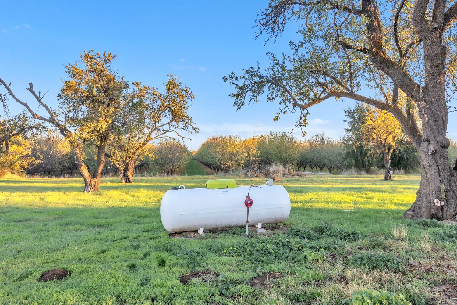 25752 State Highway Esparto, CA 95627 - Photo 9 of 60 a view of a swimming pool with a patio