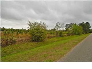 124 Bill Nelson Road Wewahitchka, FL 32465 - Photo 1 of 1