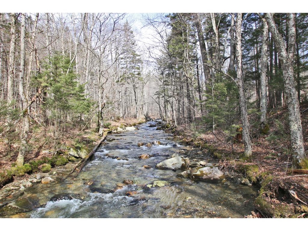 307 River Road Chittenden, VT 05763 - Photo 31 of 36