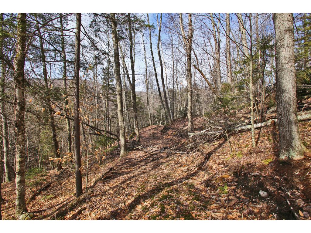 307 River Road Chittenden, VT 05763 - Photo 32 of 36