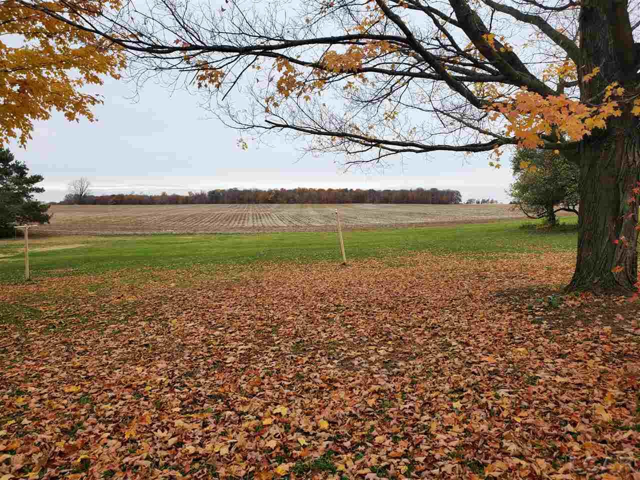 5174 Packard Road Sand Creek, MI 49279 - Photo 28 of 37 50027650-27.JPG