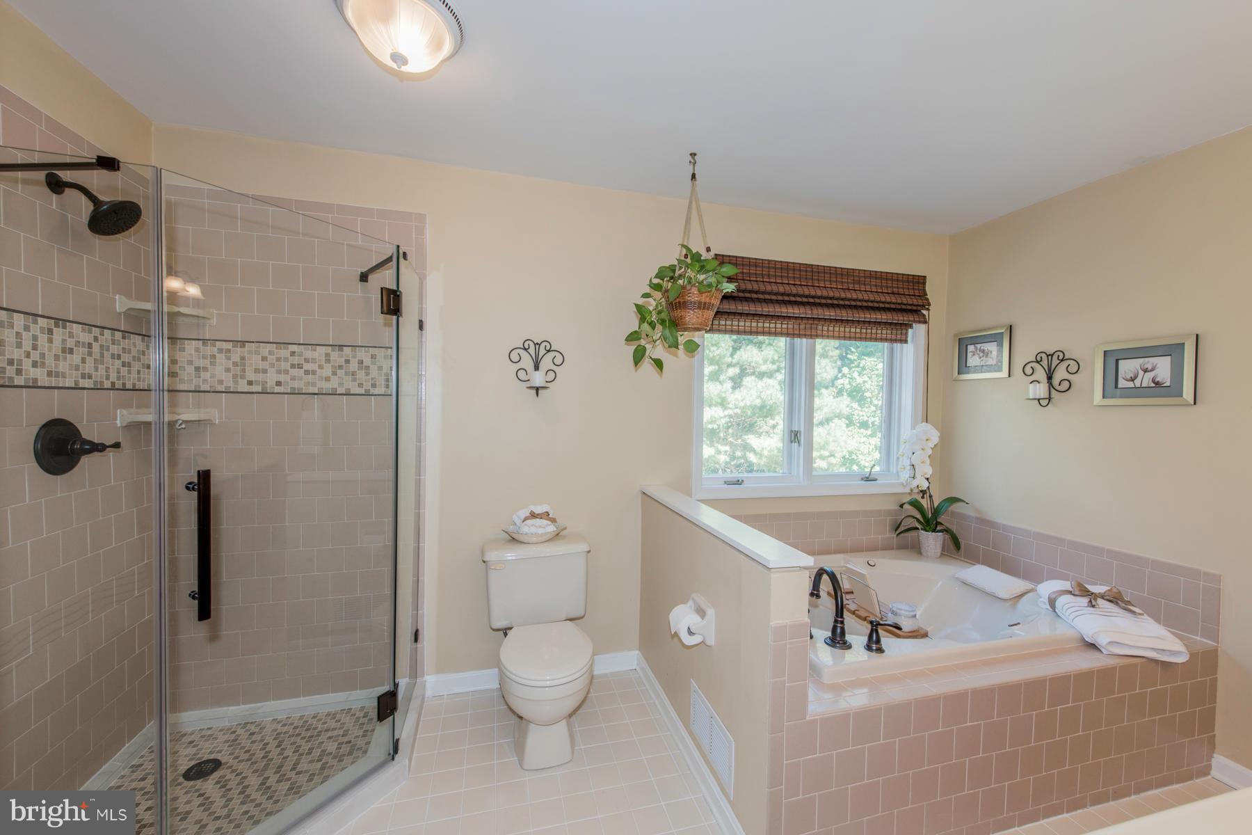 13358 Hunt Ridge Road Ellicott City, MD 21042 - Photo 15 of 30 Bedroom (Master)