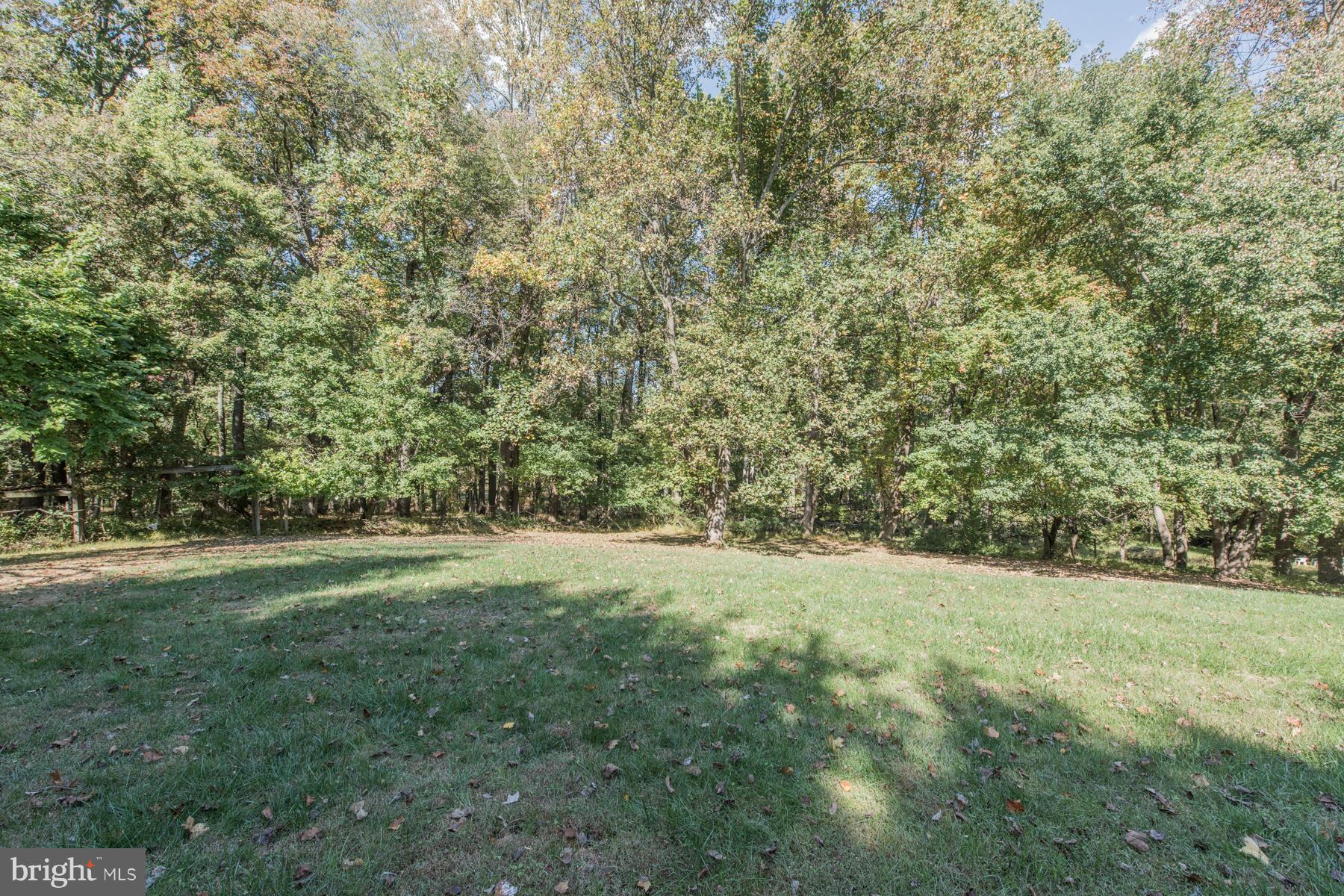 13358 Hunt Ridge Road Ellicott City, MD 21042 - Photo 28 of 30 Tree-lined Backyard