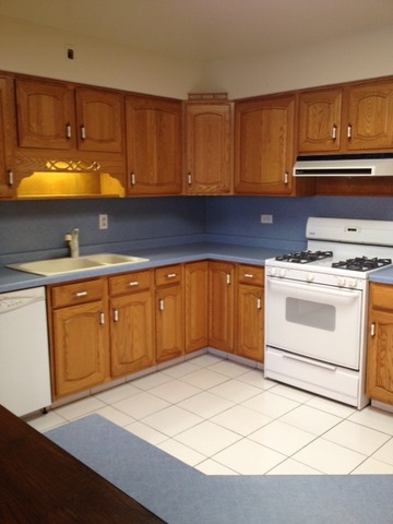 10909 Rutherford Avenue Worth, IL 60482 - Photo 5 of 9 a kitchen with a sink and cabinets