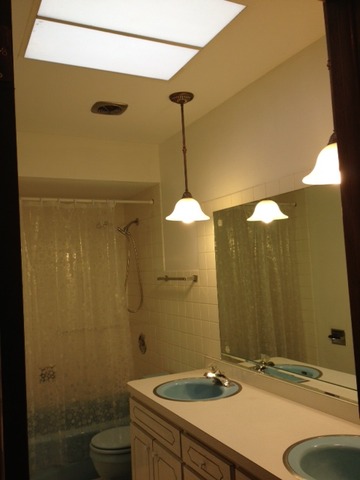 10909 Rutherford Avenue Worth, IL 60482 - Photo 9 of 9 a bathroom with a sink a toilet and shower