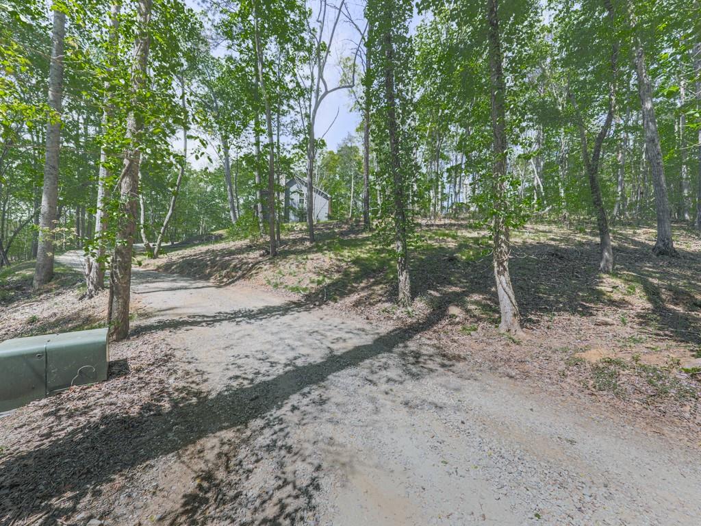 1141 Addington Lane Waleska, GA 30183 - Photo 101 of 105 a view of a dirt road with trees in the background