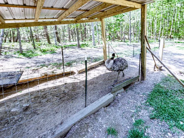 $3,985,000 | 1141 Addington Lane, Waleska, GA 30183