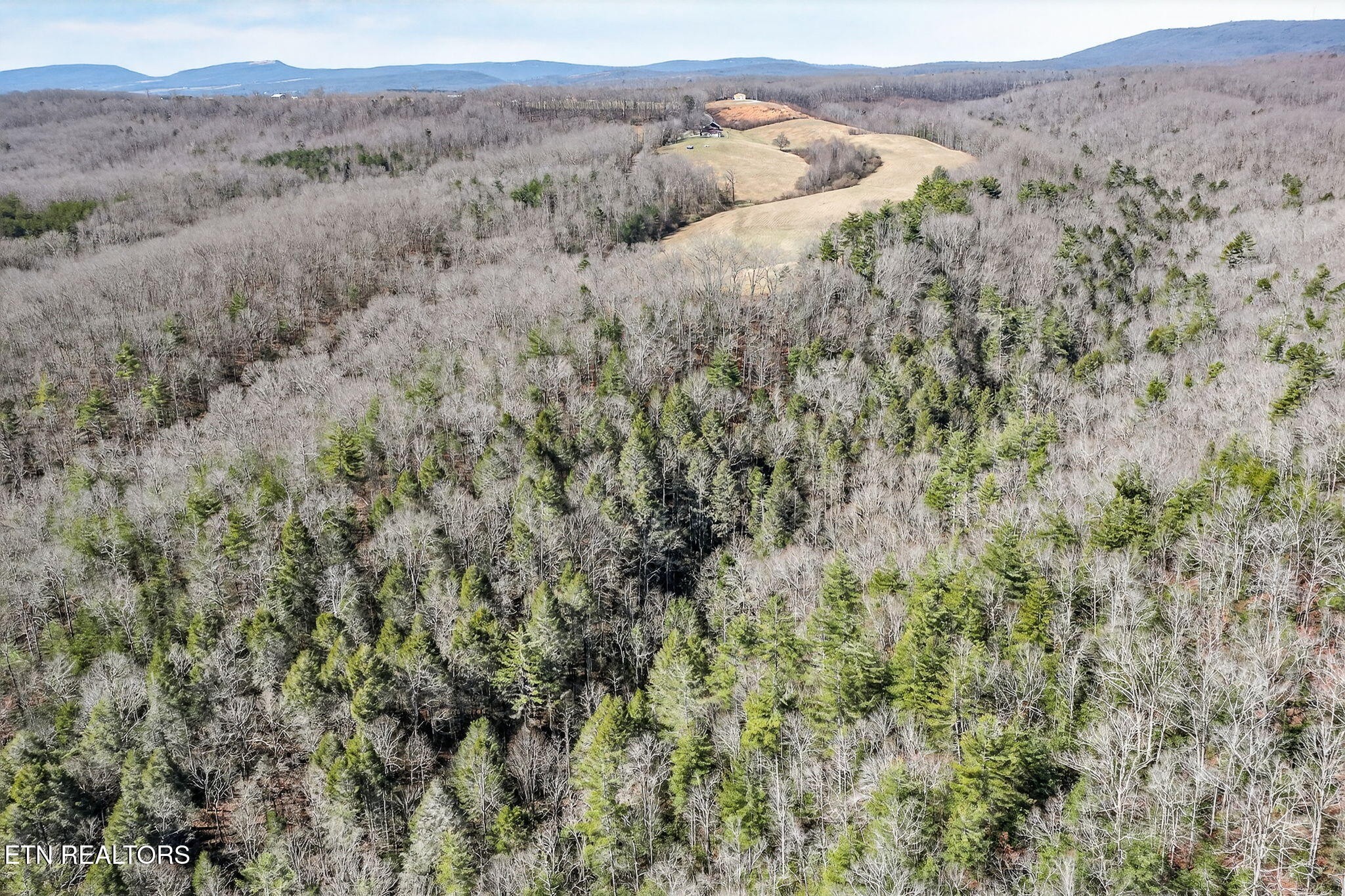 0 Dogwood Road Grandview, TN 37337 - Photo 12 of 20 a view of a dry yard with mountains in the background