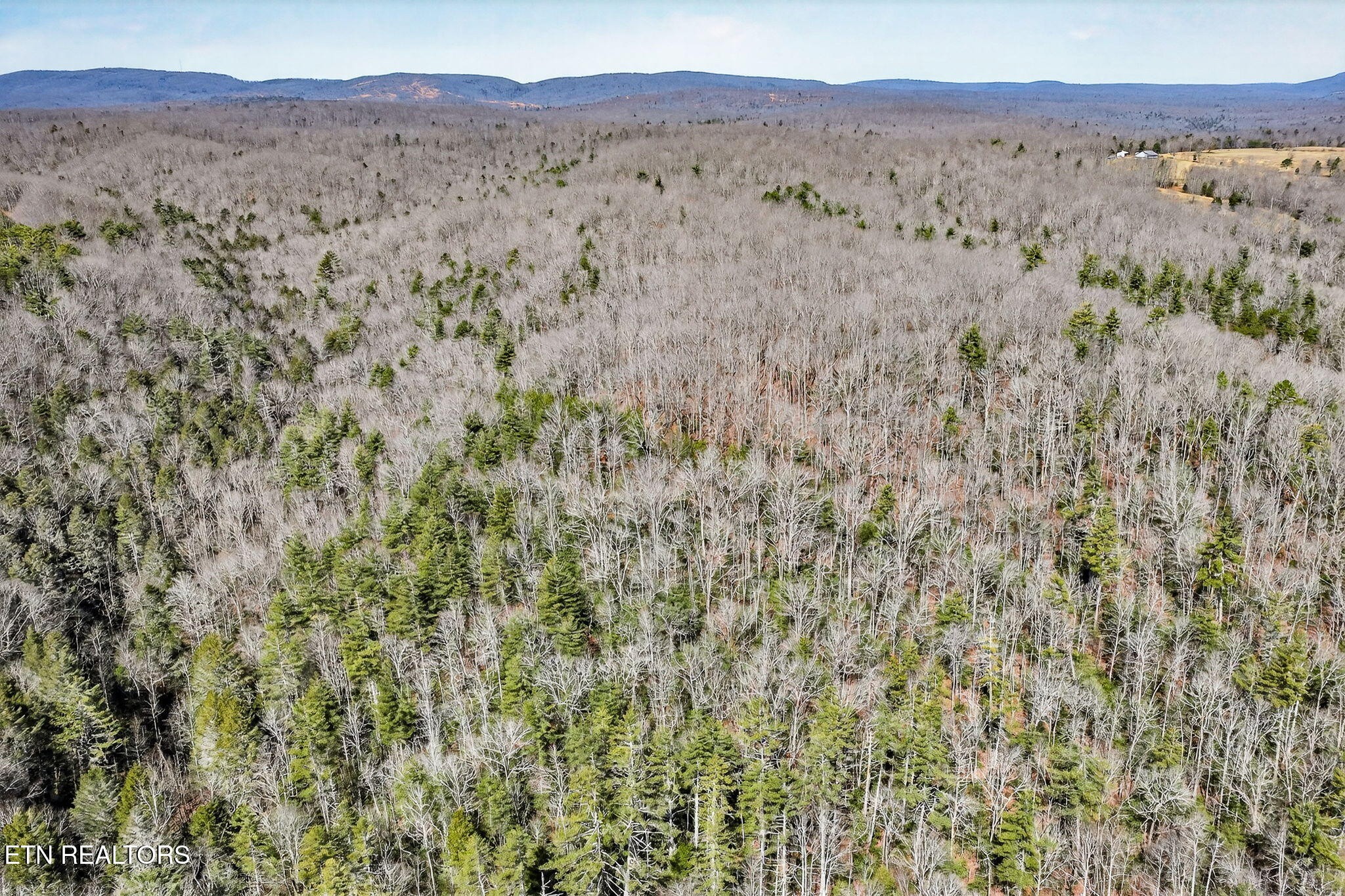 0 Dogwood Road Grandview, TN 37337 - Photo 13 of 20 a view of an outdoor space