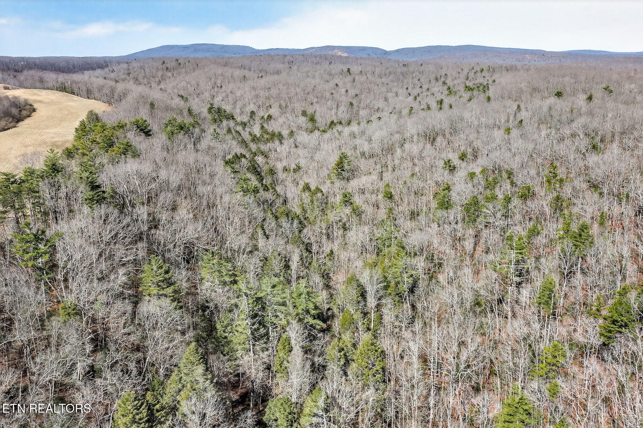 0 Dogwood Road Grandview, TN 37337 - Photo 16 of 20 a view of a dry field with mountains in the background