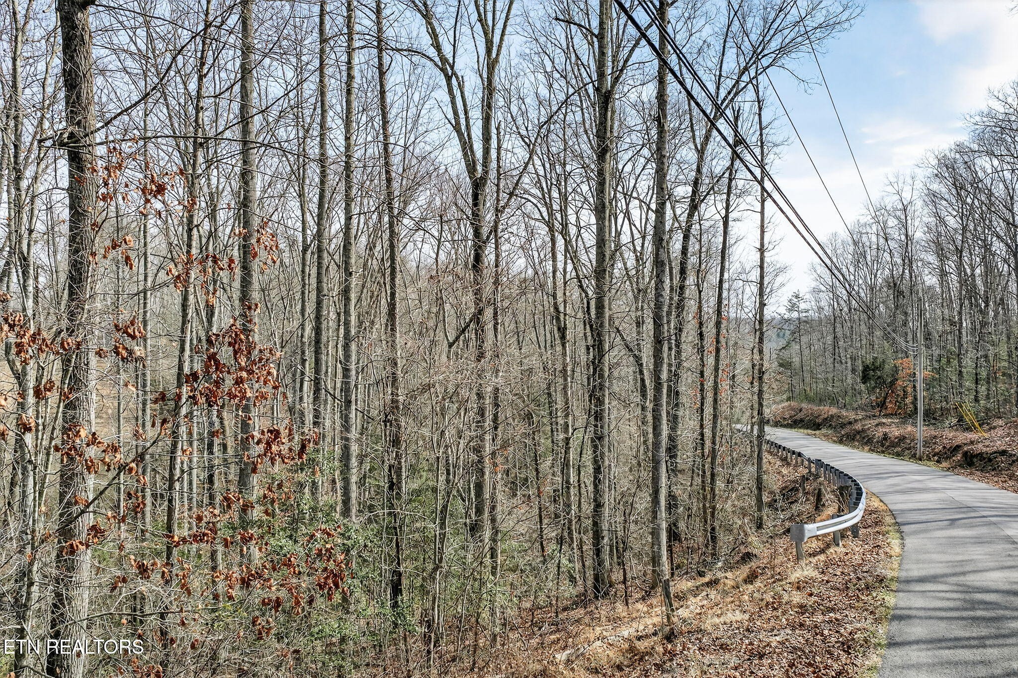 0 Dogwood Road Grandview, TN 37337 - Photo 17 of 20 a view of outdoor space with a yard