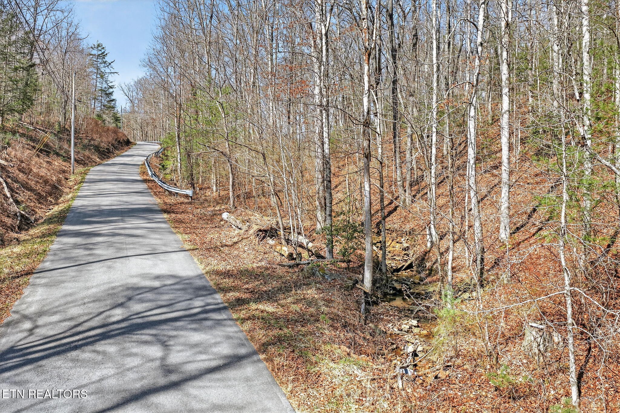 0 Dogwood Road Grandview, TN 37337 - Photo 4 of 20 a view of path along with trees