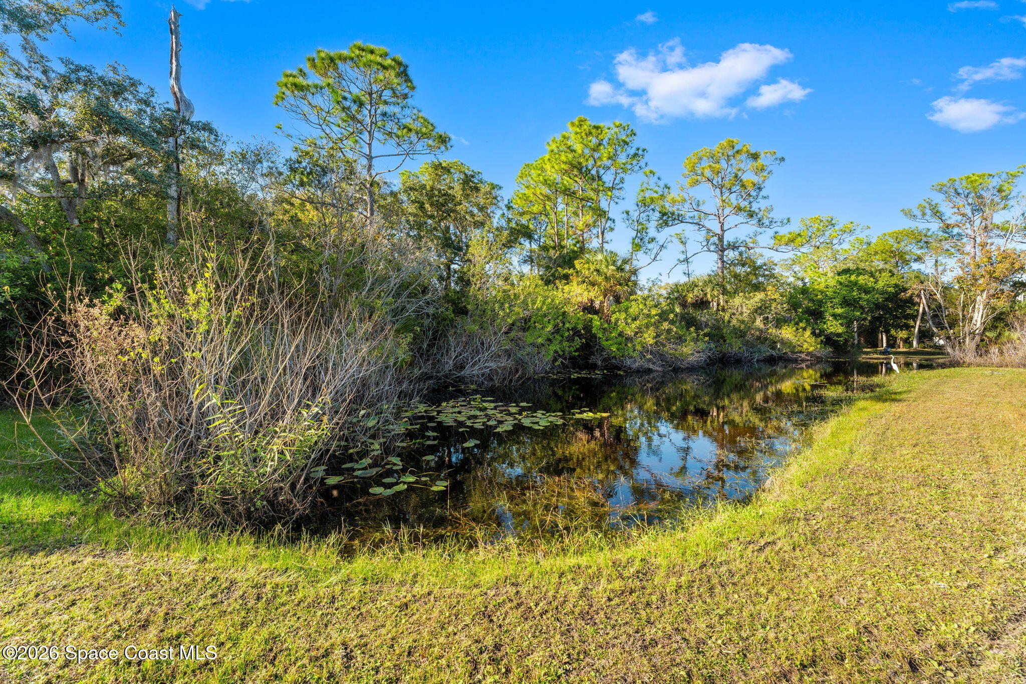 1325 Chase Hammock Road Merritt Island, FL 32953 - Photo 73 of 83 1325 Chase Hammock Rd (12)