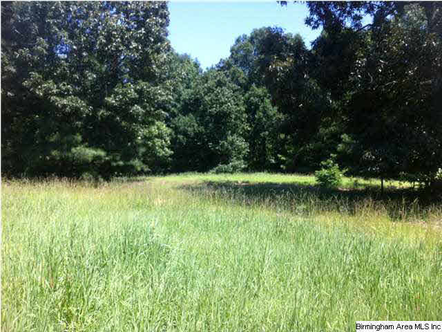 Hidden Ridge, Unit 32 Chelsea, AL 35043 - Photo 3 of 5