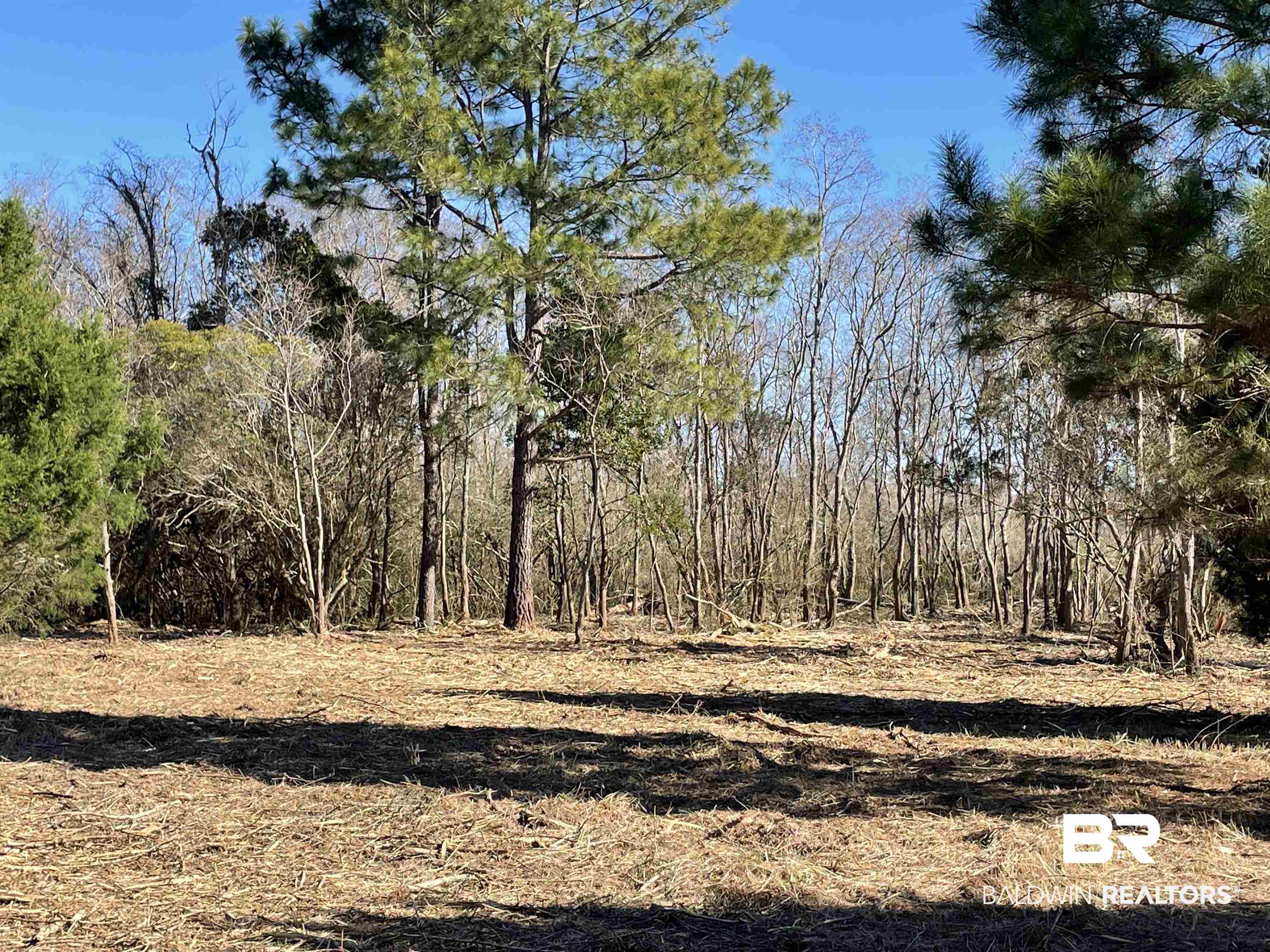 0 Makaira Drive Foley, AL 36535 - Photo 17 of 33