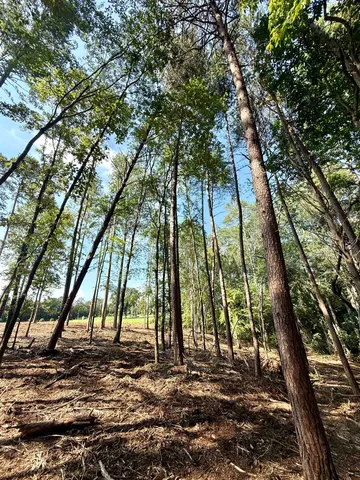 $425,000 | 0 Thompson Road, Greer, SC 29651