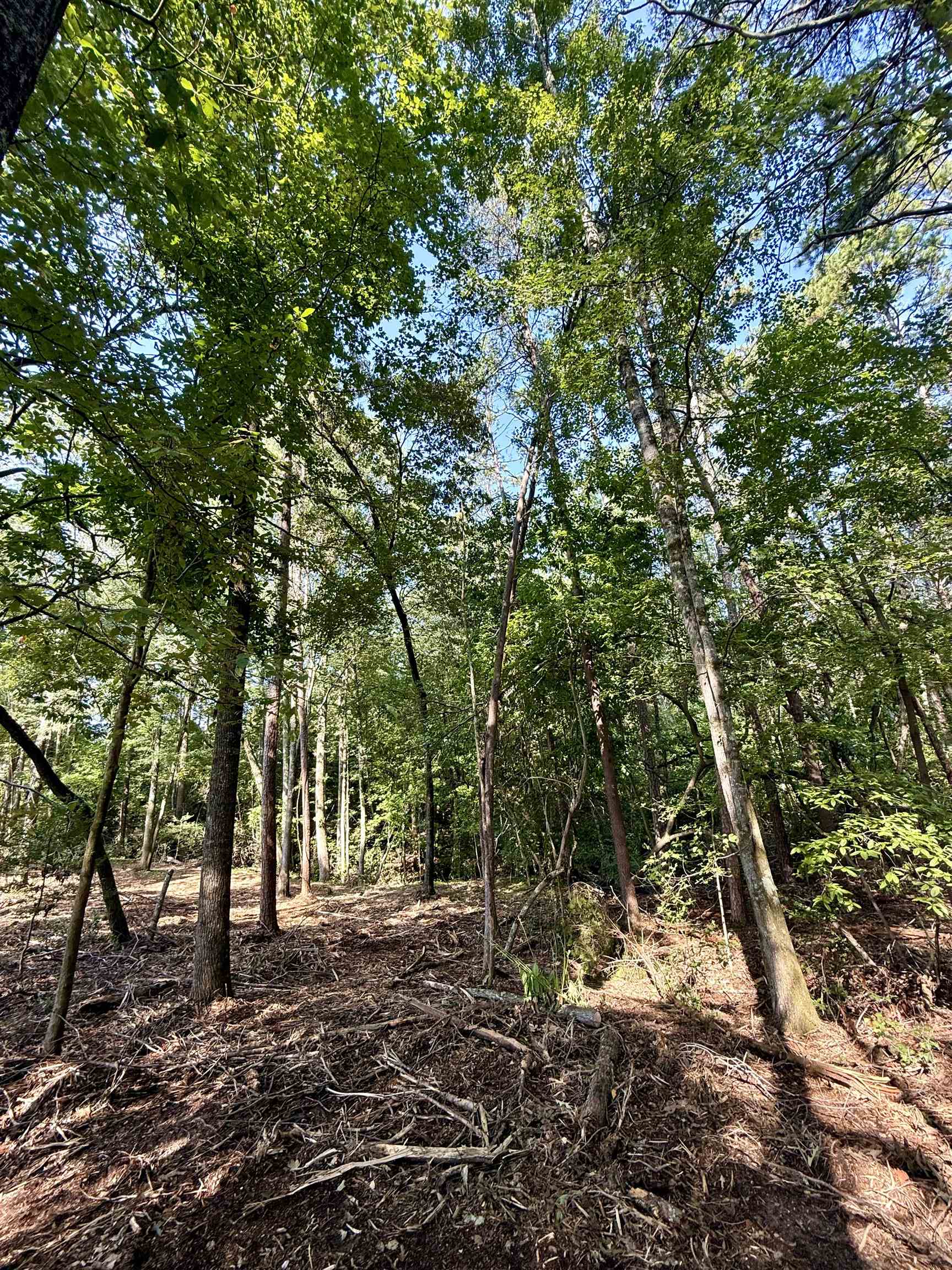 0 Thompson Road Greer, SC 29651 - Photo 12 of 16