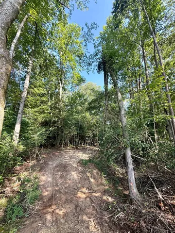 $425,000 | 0 Thompson Road, Greer, SC 29651