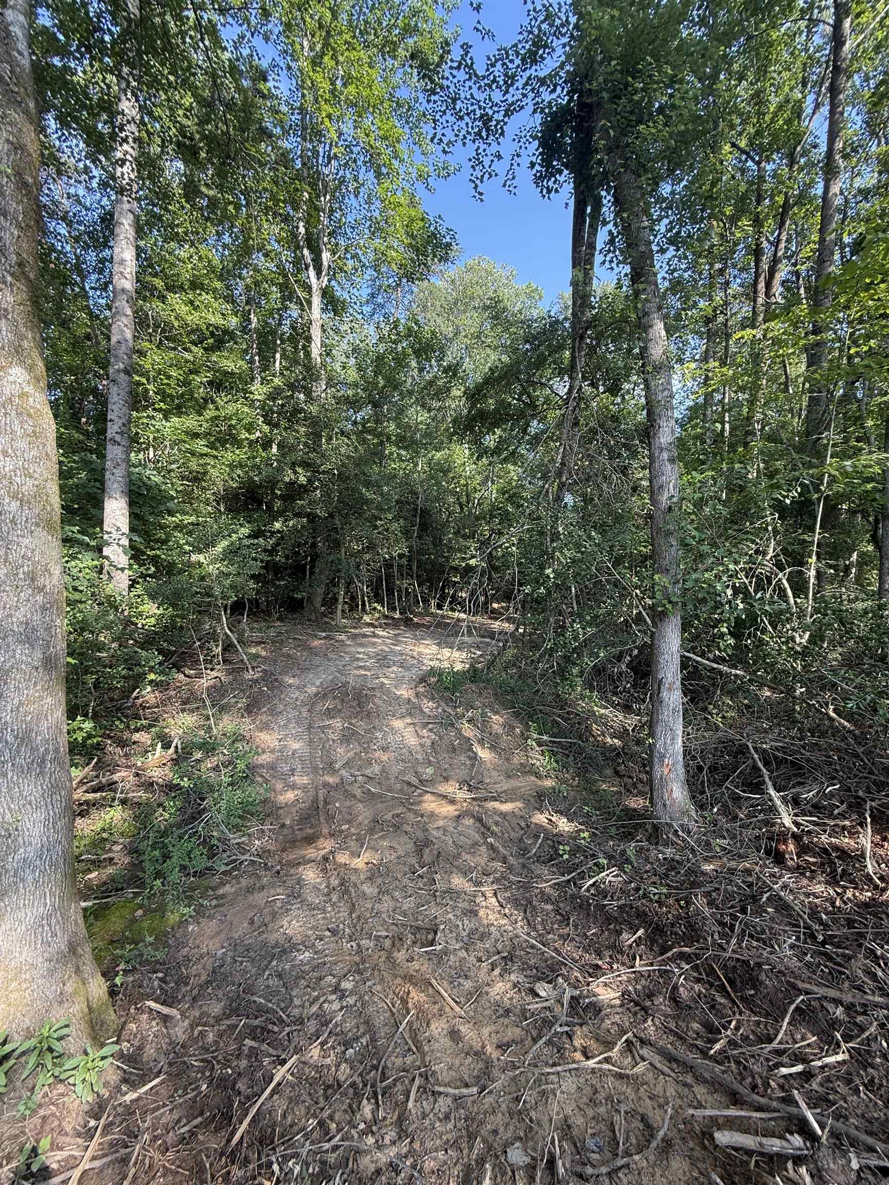 0 Thompson Road Greer, SC 29651 - Photo 16 of 16