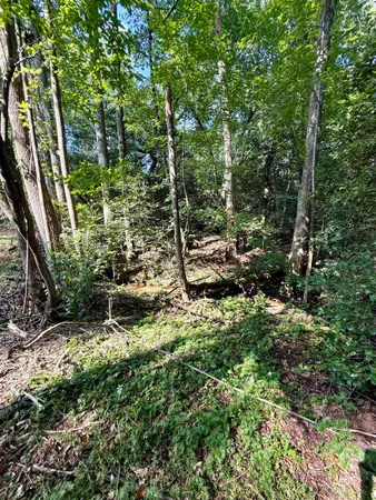 $425,000 | 0 Thompson Road, Greer, SC 29651