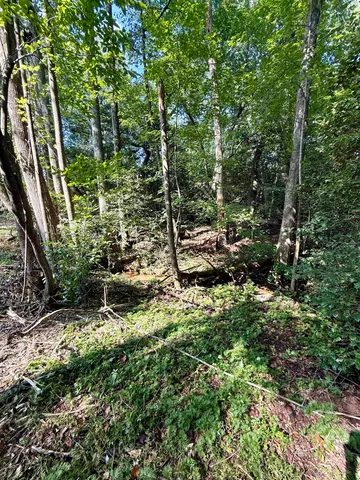 $425,000 | 0 Thompson Road, Greer, SC 29651