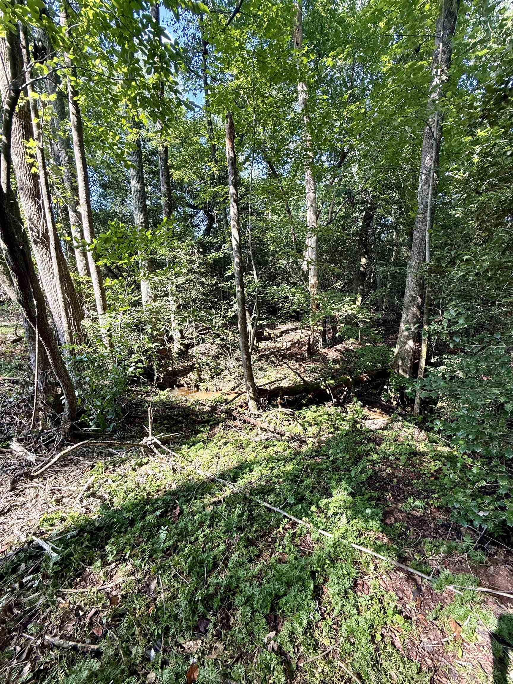 0 Thompson Road Greer, SC 29651 - Photo 2 of 16