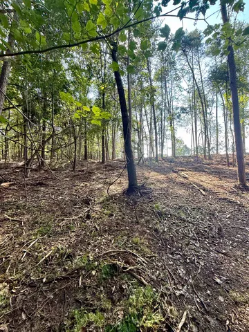 $425,000 | 0 Thompson Road, Greer, SC 29651