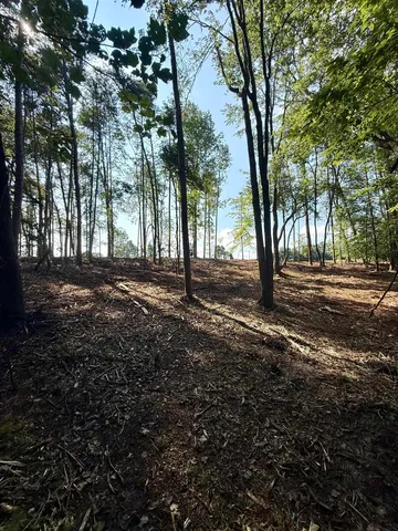 $425,000 | 0 Thompson Road, Greer, SC 29651