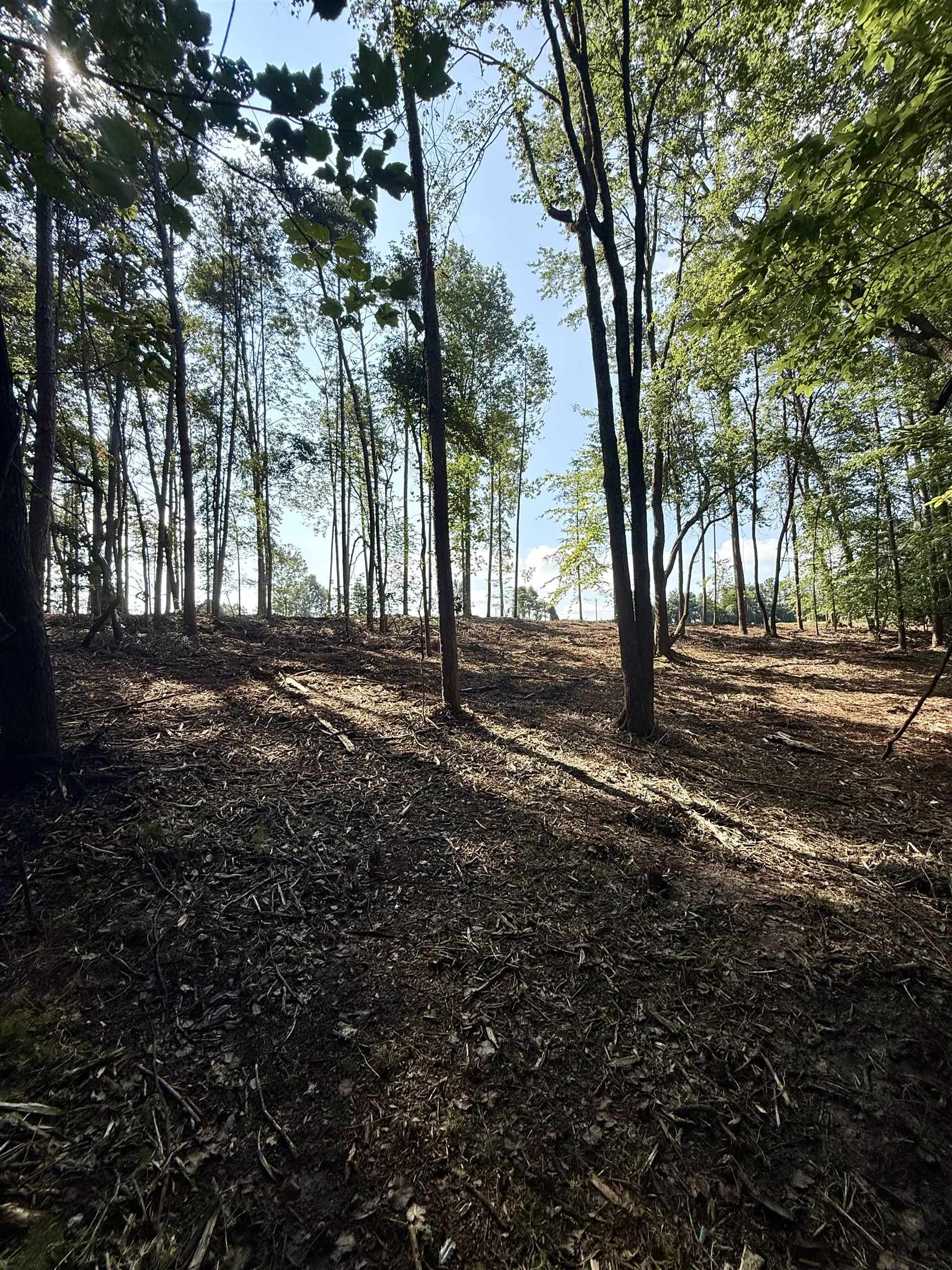 0 Thompson Road Greer, SC 29651 - Photo 4 of 16