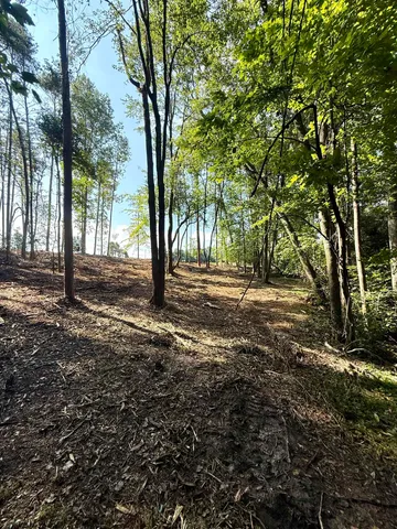 $425,000 | 0 Thompson Road, Greer, SC 29651