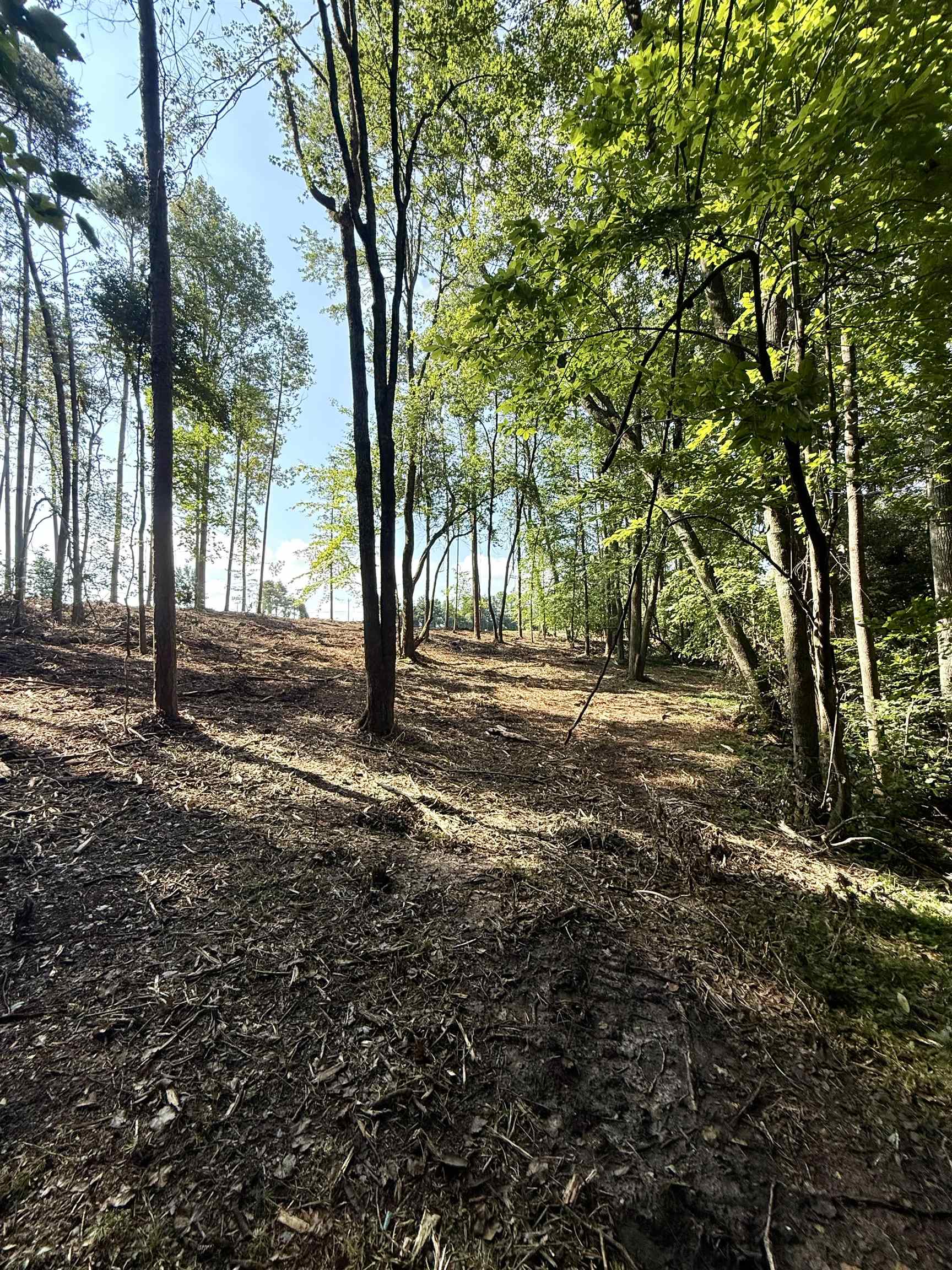 0 Thompson Road Greer, SC 29651 - Photo 5 of 16