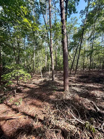 $425,000 | 0 Thompson Road, Greer, SC 29651