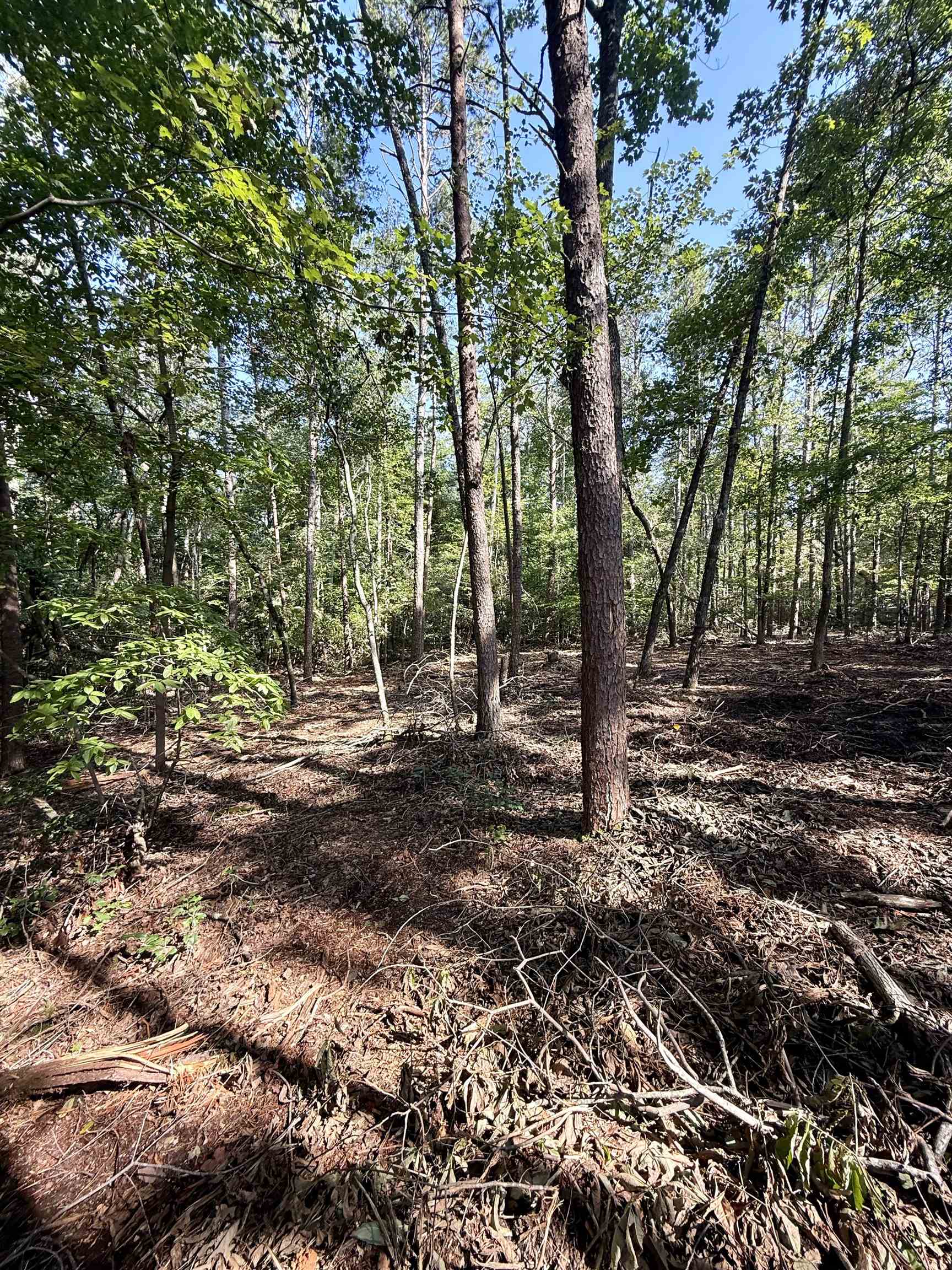 0 Thompson Road Greer, SC 29651 - Photo 6 of 16