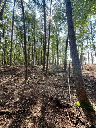 $425,000 | 0 Thompson Road, Greer, SC 29651
