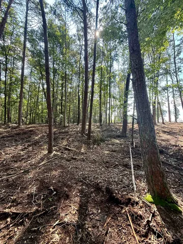 $425,000 | 0 Thompson Road, Greer, SC 29651