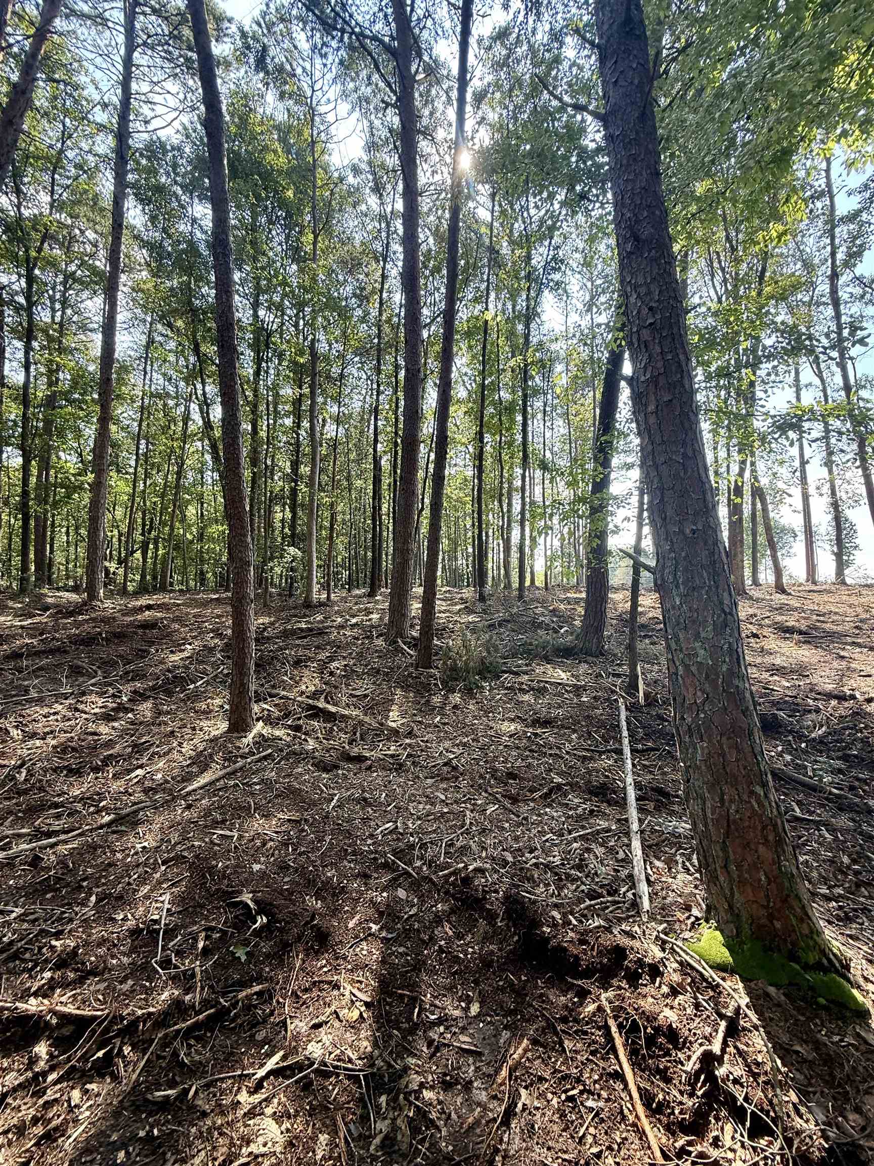 0 Thompson Road Greer, SC 29651 - Photo 7 of 16