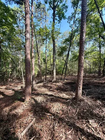 $425,000 | 0 Thompson Road, Greer, SC 29651