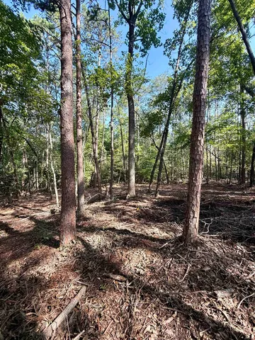 $425,000 | 0 Thompson Road, Greer, SC 29651