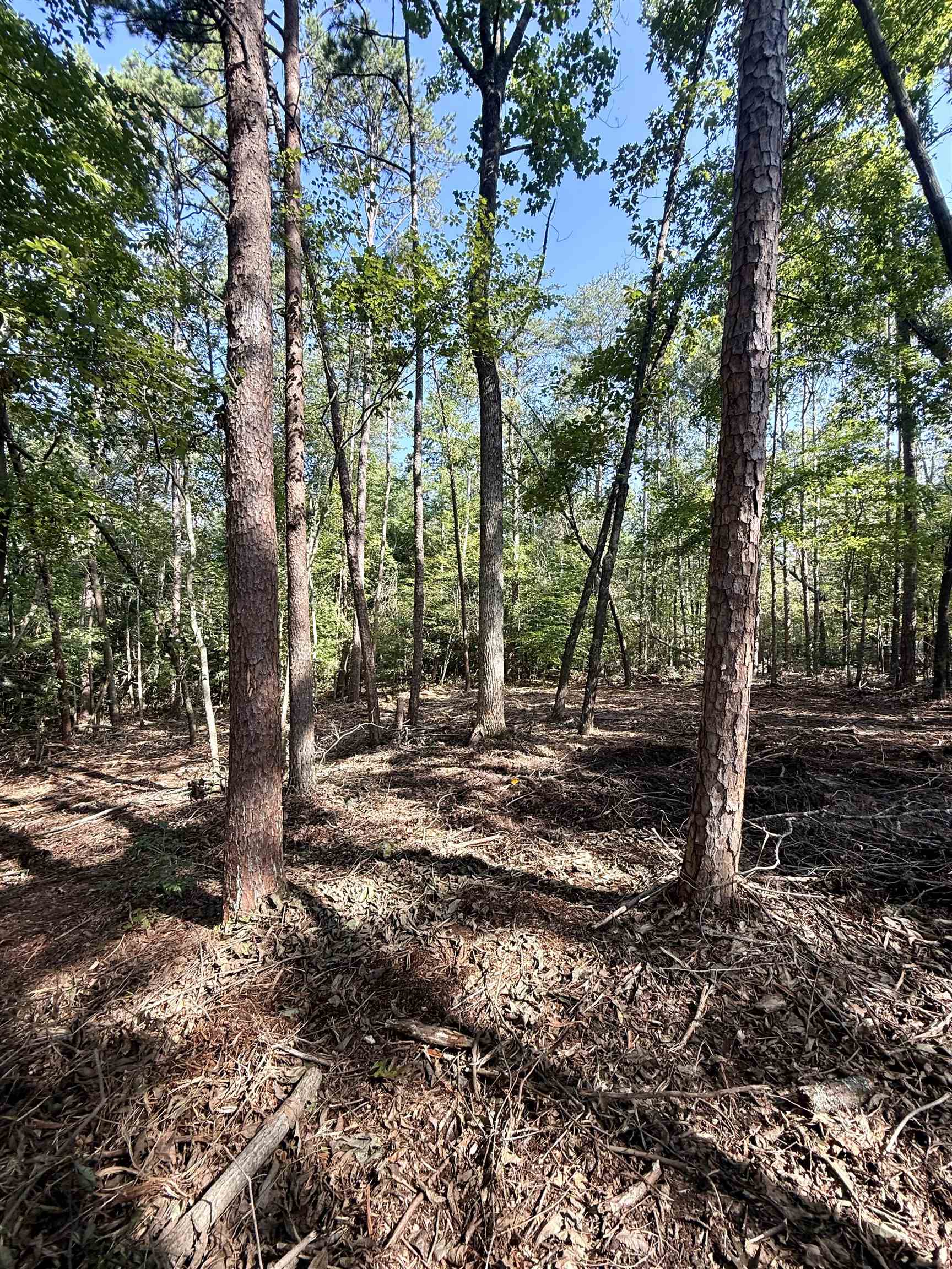 0 Thompson Road Greer, SC 29651 - Photo 8 of 16