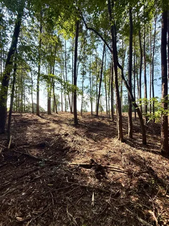 $425,000 | 0 Thompson Road, Greer, SC 29651