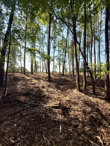 $425,000 | 0 Thompson Road, Greer, SC 29651