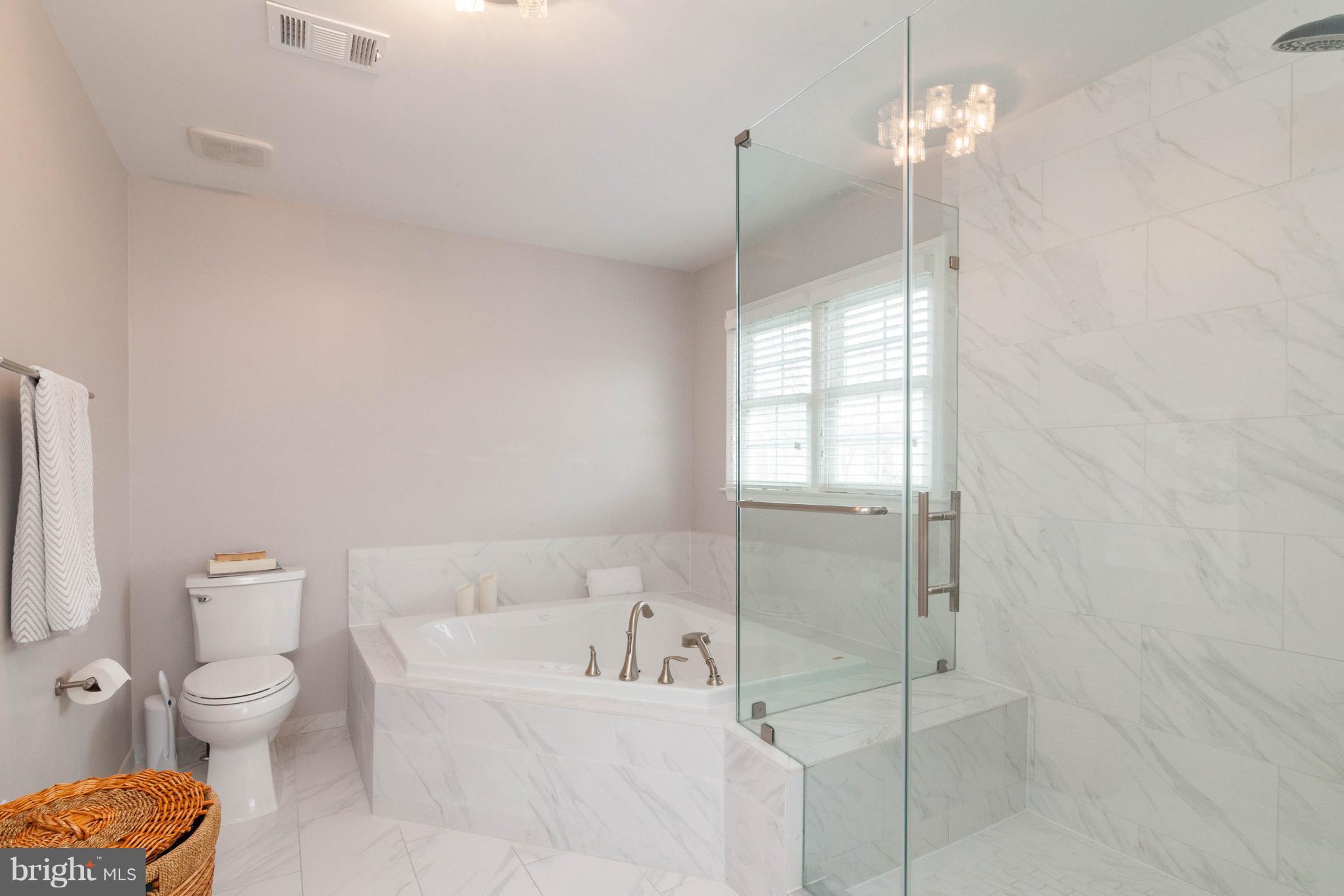 6586 Forsythia Street Springfield, VA 22150 - Photo 5 of 30 jacuzzi tub and separate shower