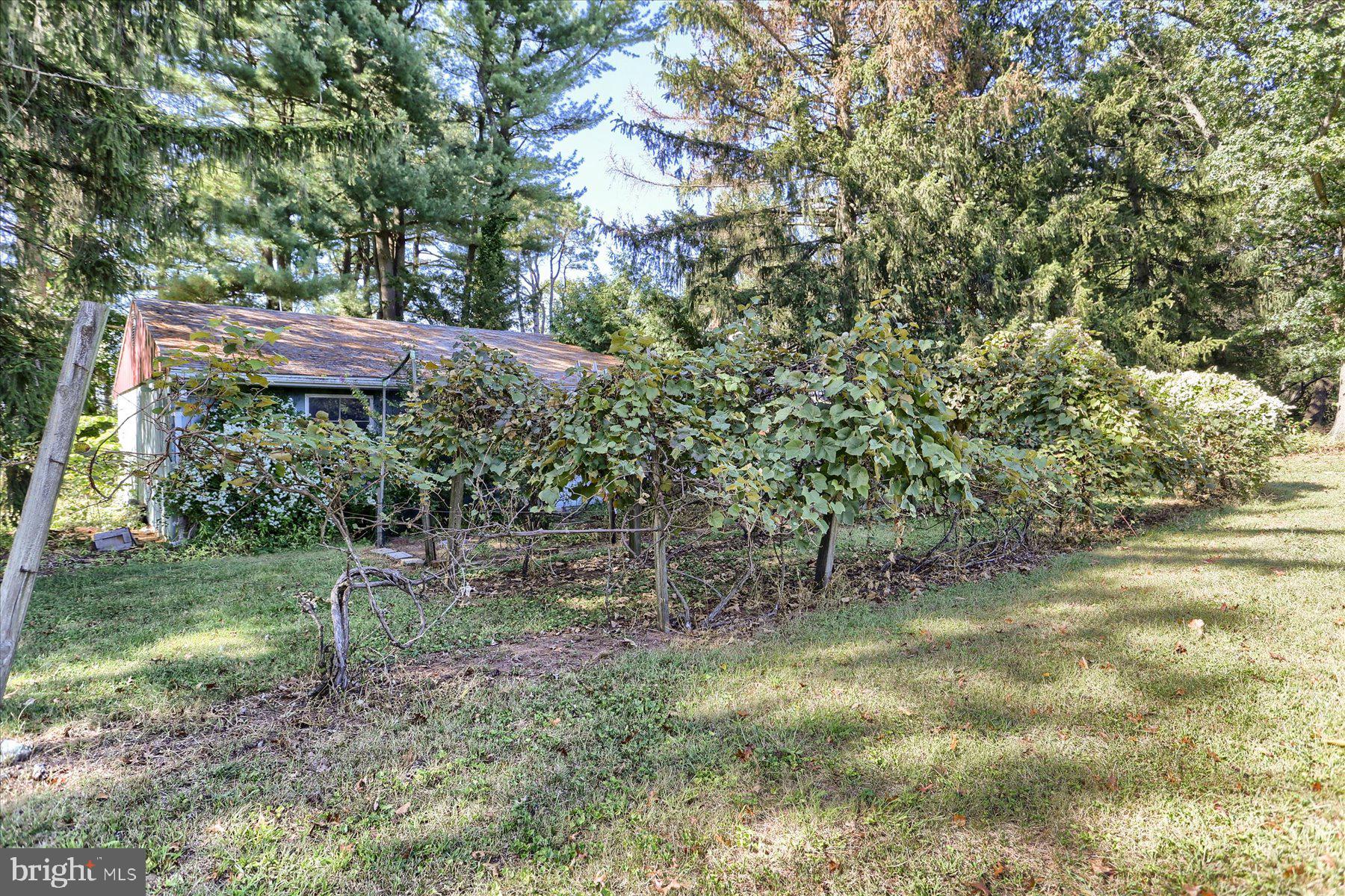 830 Stauffers Church Road Palmyra, PA 17078 - Photo 11 of 53 Vineyard
