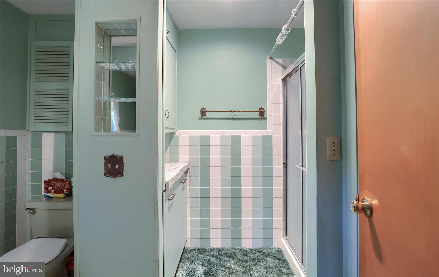 830 Stauffers Church Road Palmyra, PA 17078 - Photo 32 of 53 View of Shower