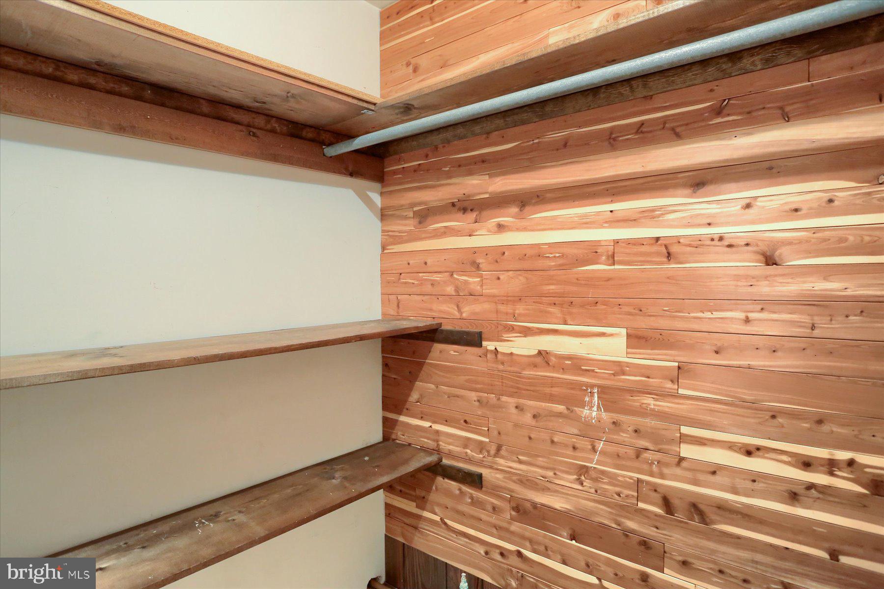 830 Stauffers Church Road Palmyra, PA 17078 - Photo 41 of 53 Cedar Wall in Closet