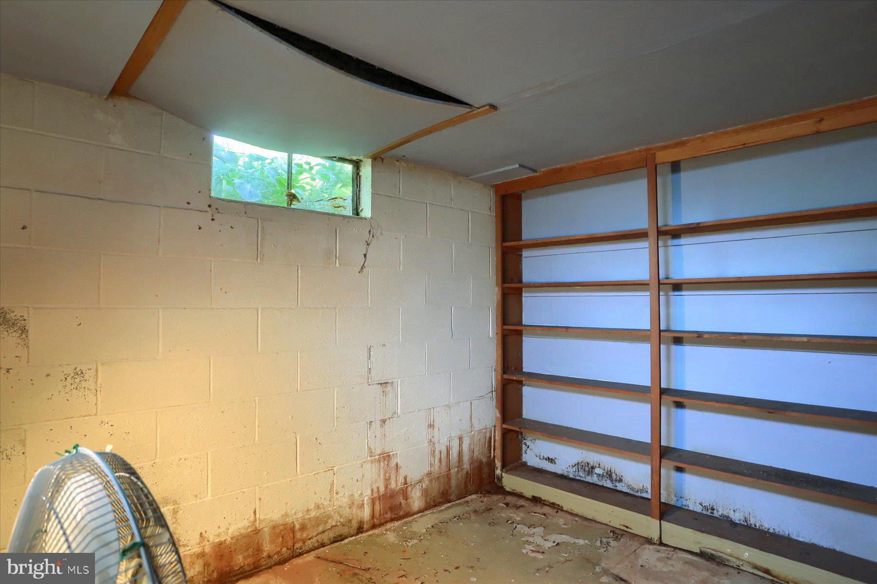 830 Stauffers Church Road Palmyra, PA 17078 - Photo 52 of 53 Cold Celler