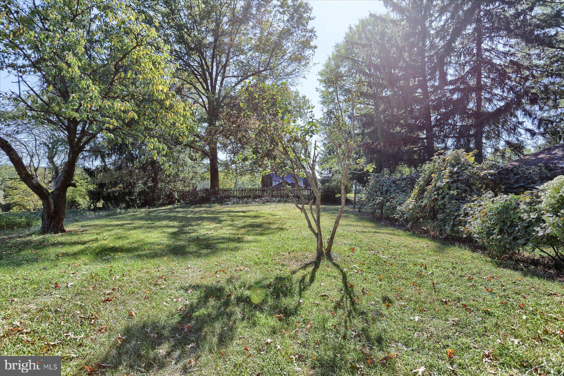 830 Stauffers Church Road Palmyra, PA 17078 - Photo 9 of 53 Rear yard